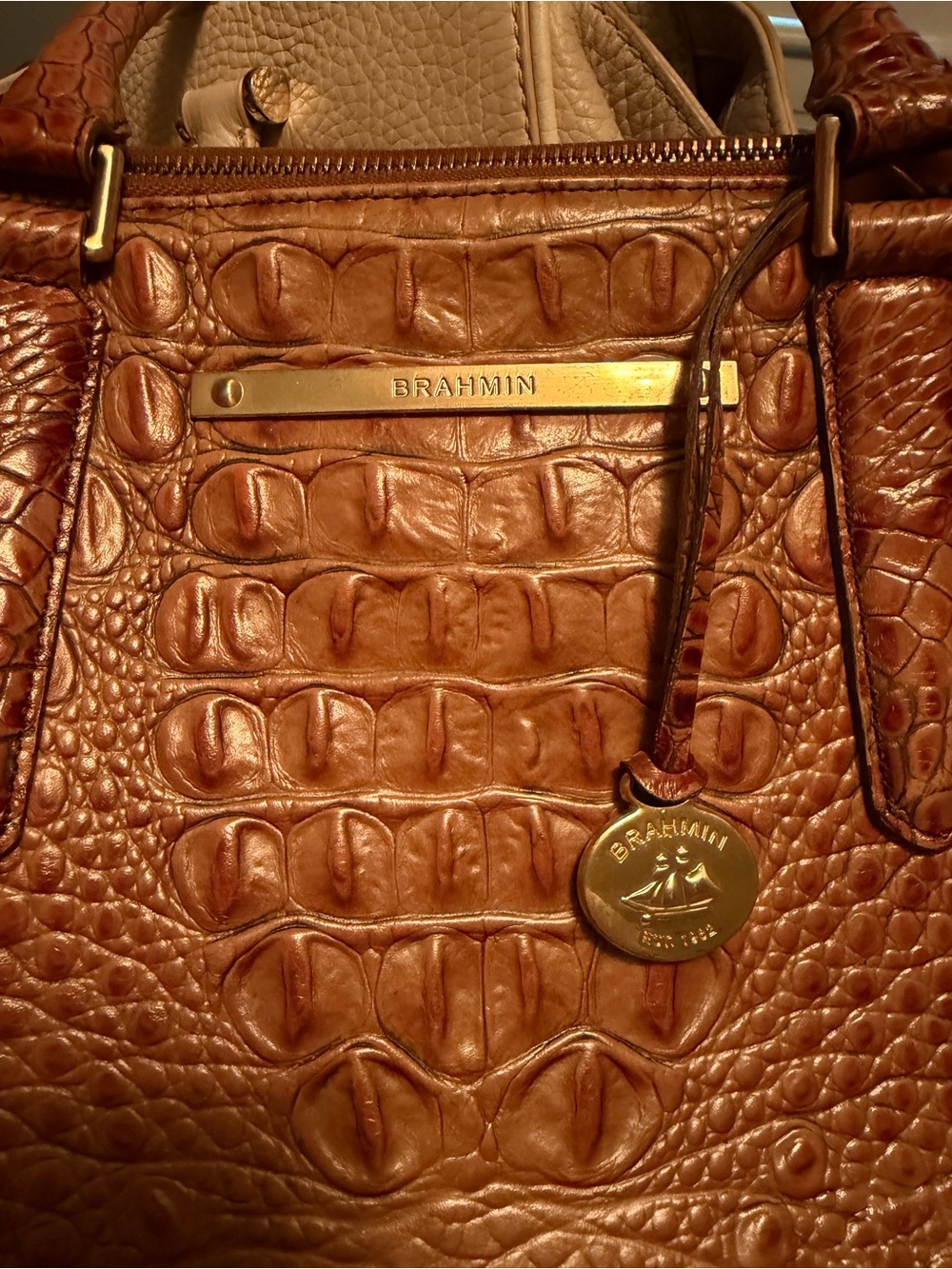 Brahmin Croc-Embossed Leather Tote in Cognac Brown